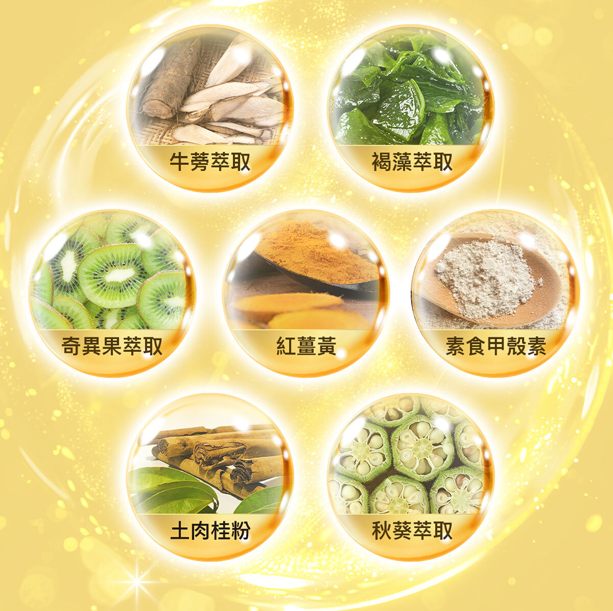 飽足感No.1-含膳食纖維-瘦身-嚴萃保健-37