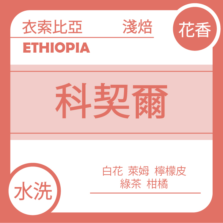花香【衣索比亞 耶加雪菲 科契爾鎮】水洗