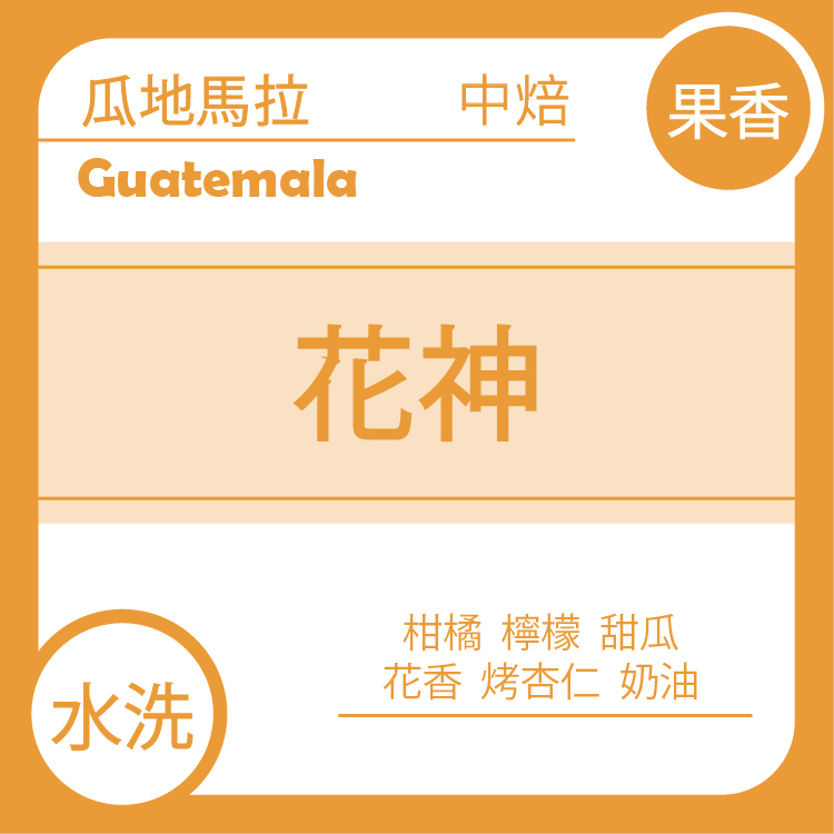 果香【瓜地馬拉 薇薇特南果 聖馬可斯 花神】水洗