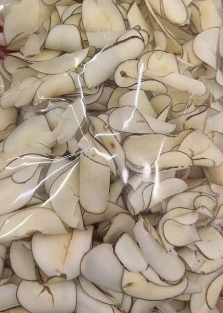 非洲海底椰半斤裝 (袋裝) (H5 PB32)
