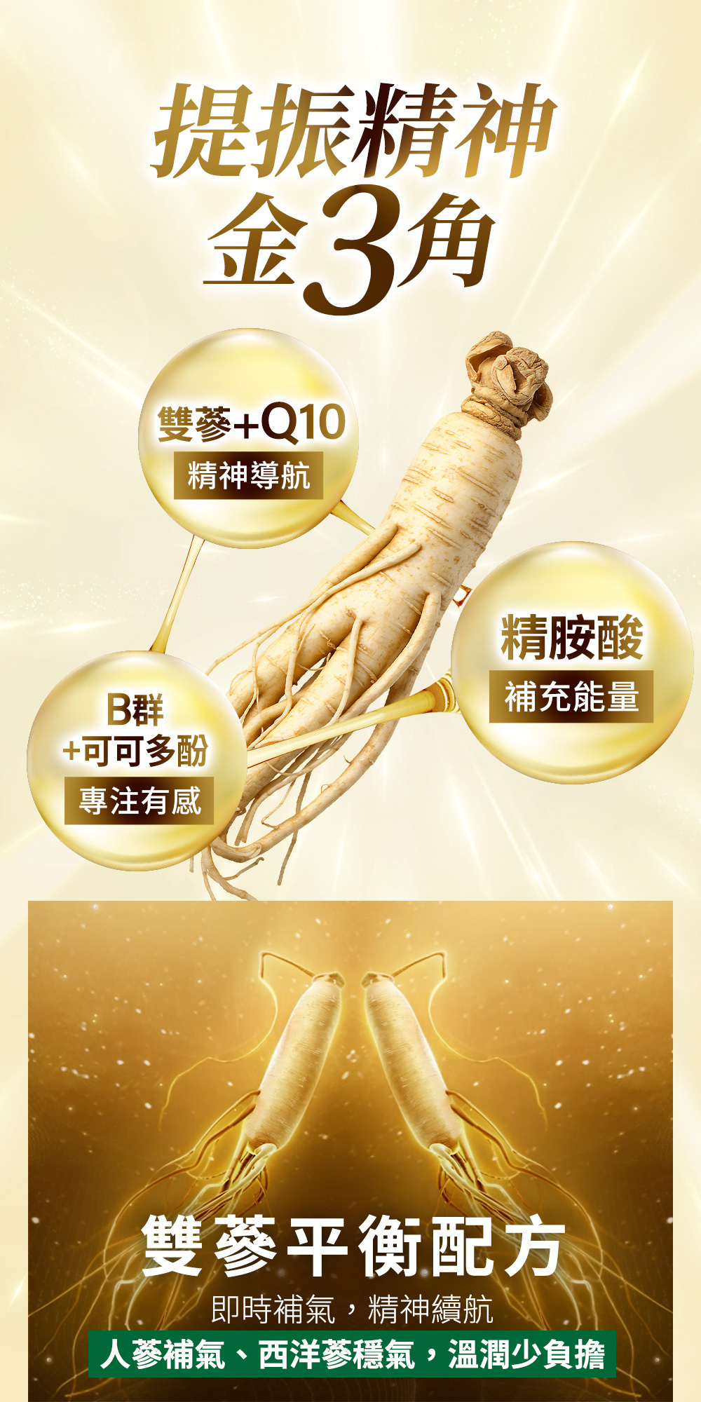 桂格5XB群 提振精神金三角