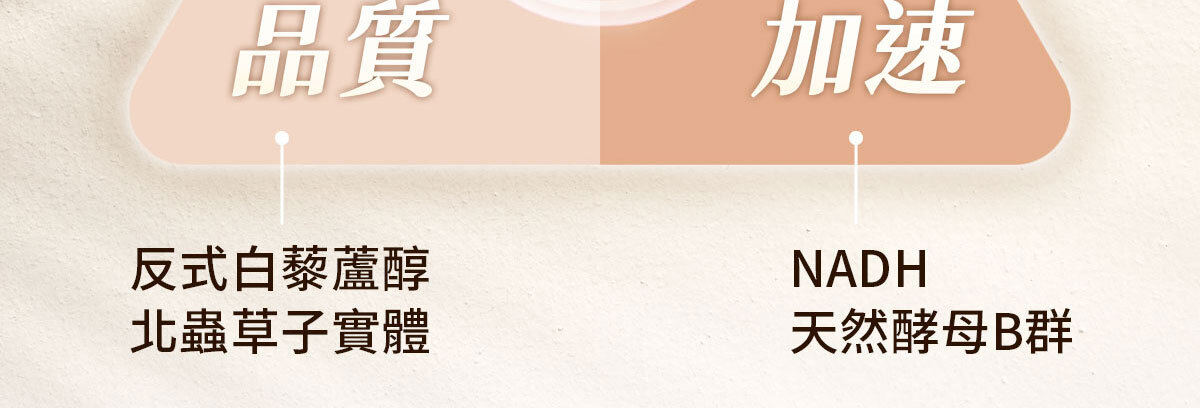 NMN-青春膠囊-菸醯胺-嚴萃保健-22