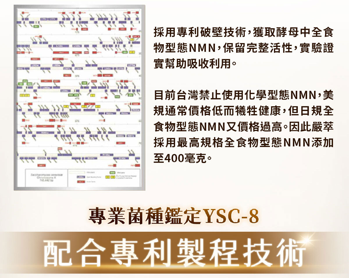 NMN-青春膠囊-菸醯胺-嚴萃保健-24