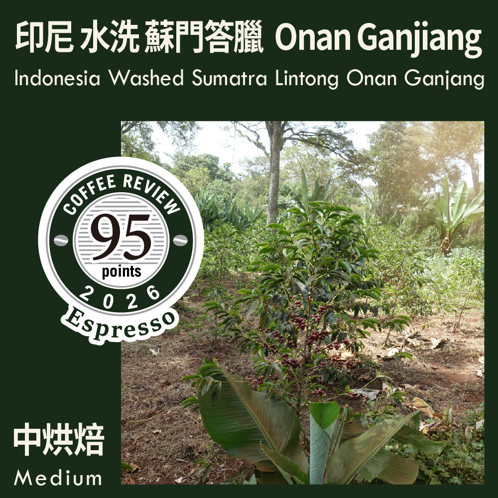 CR95-印尼 水洗 蘇門答臘 林東 Onan Gajiang村 Onan Ganjiang單一品種 Espresso Review