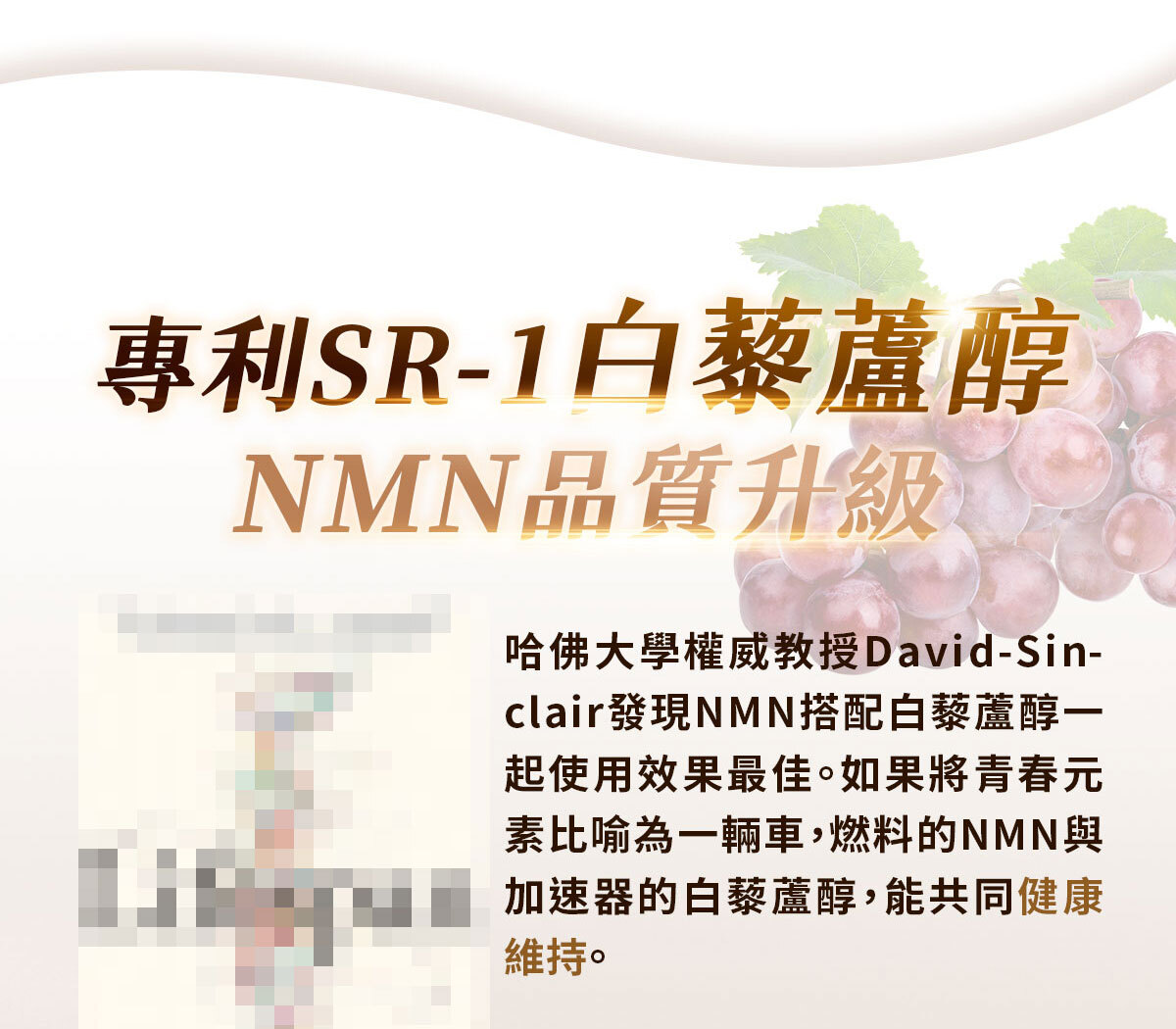 NMN-青春膠囊-菸醯胺-嚴萃保健-31
