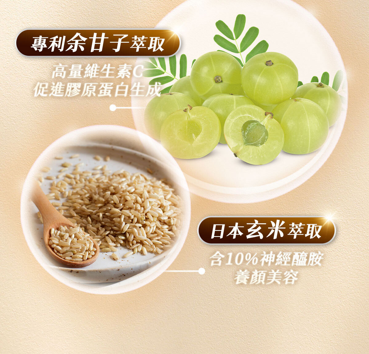 NMN-青春膠囊-菸醯胺-嚴萃保健-37