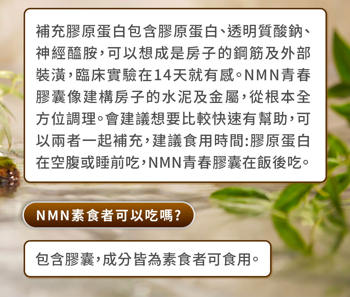 NMN-青春膠囊-菸醯胺-嚴萃保健-44