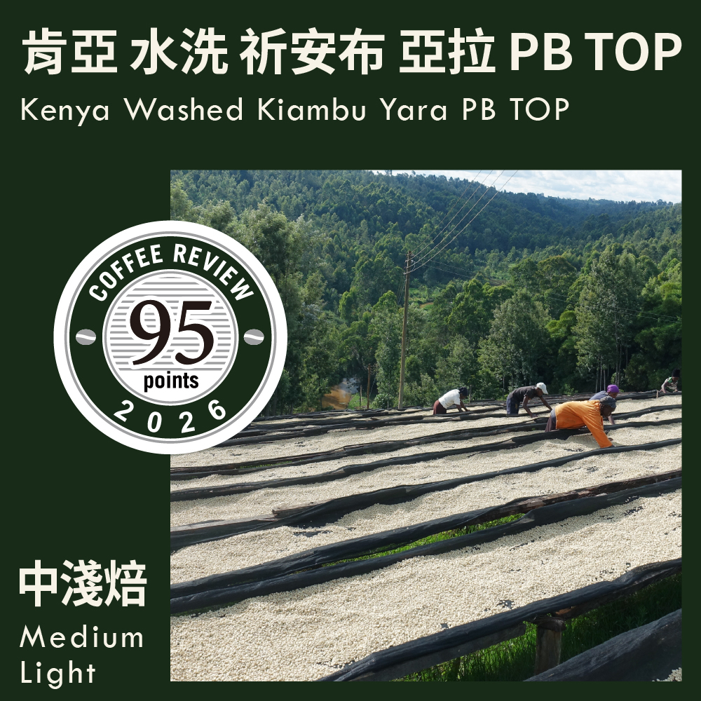 CR95-肯亞 水洗 祈安布 亞拉 PB TOP