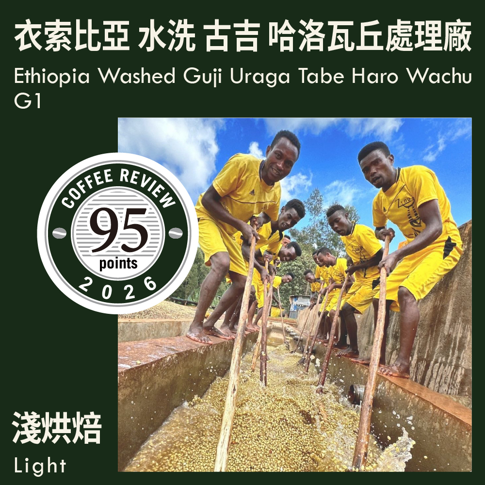 CR95-衣索比亞 水洗 古吉 烏拉嘎 哈洛瓦丘處理廠 G1