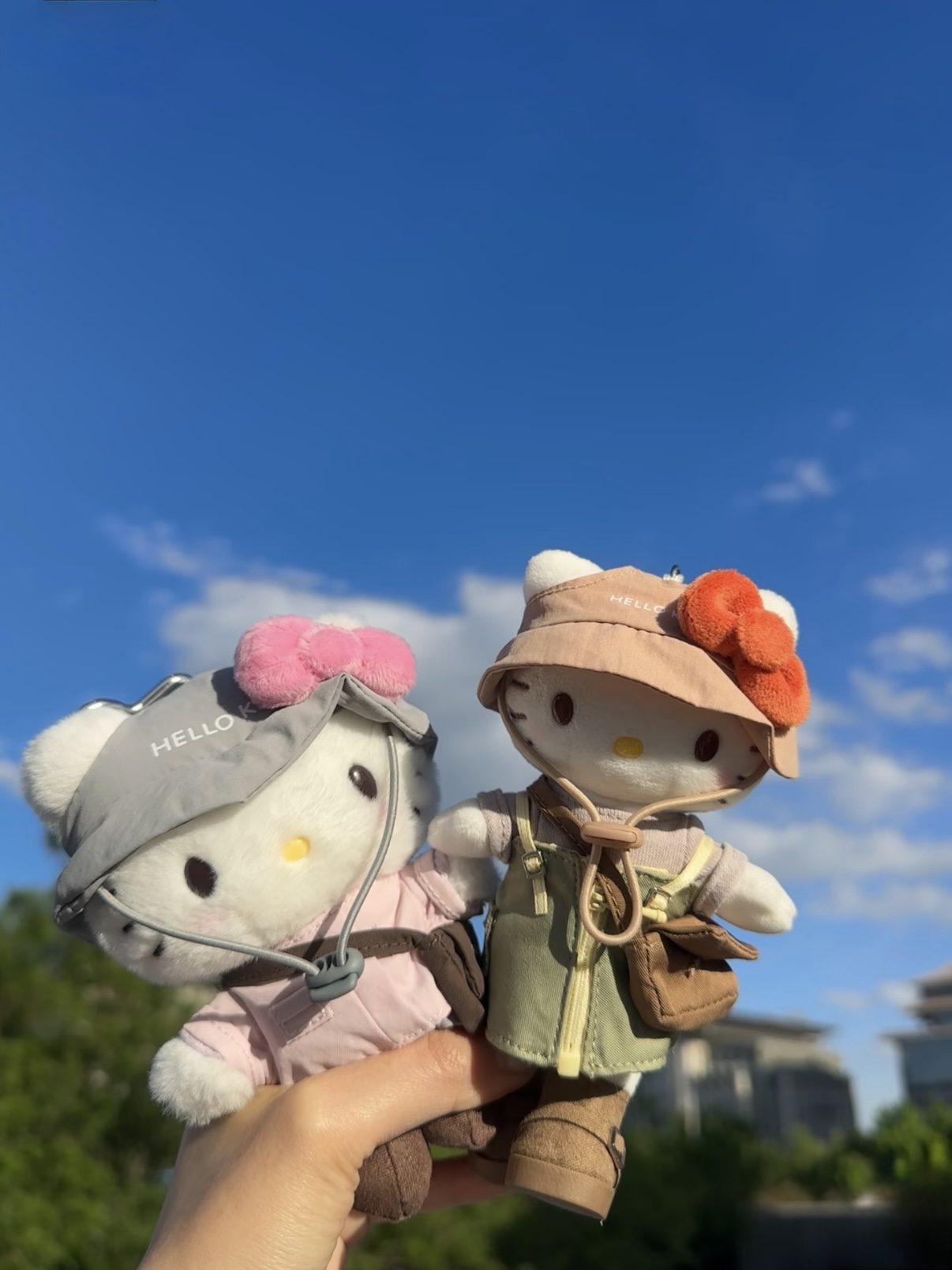 （預購）Sanrio三麗鷗 《春日露營系列🏕️》毛絨吊飾 掛件