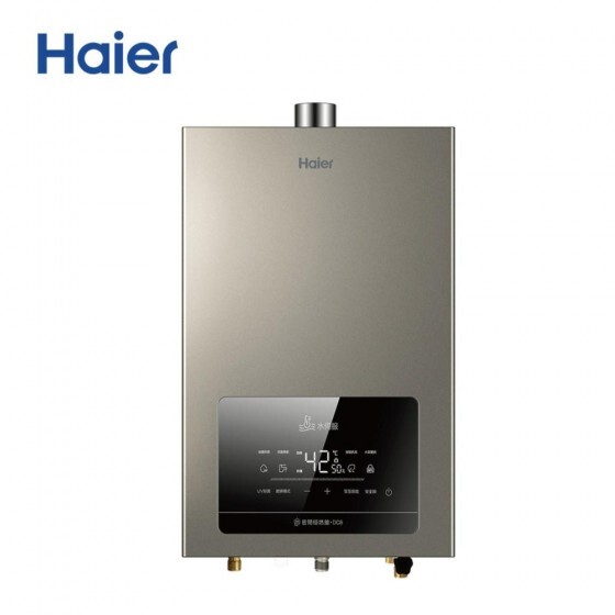 Haier JSQ31-16DC6/NG1