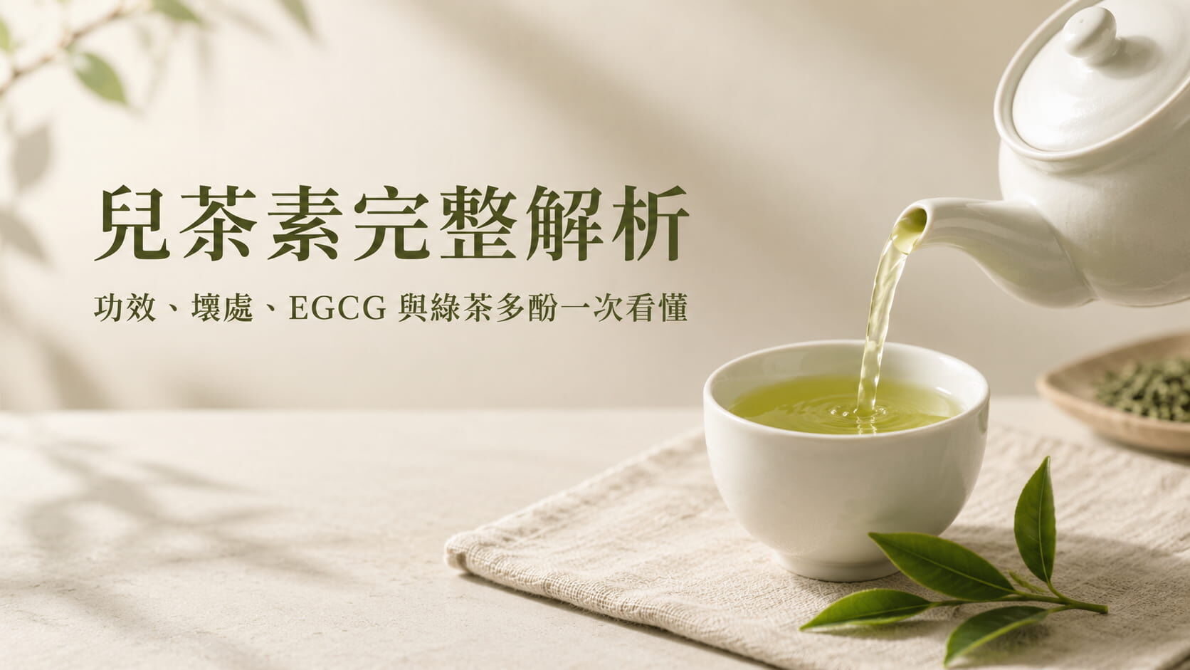 兒茶素完整解析｜功效、壞處、EGCG 與綠茶多酚一次看懂