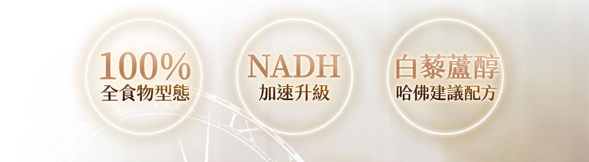 NMN-青春膠囊-菸醯胺-嚴萃保健-2