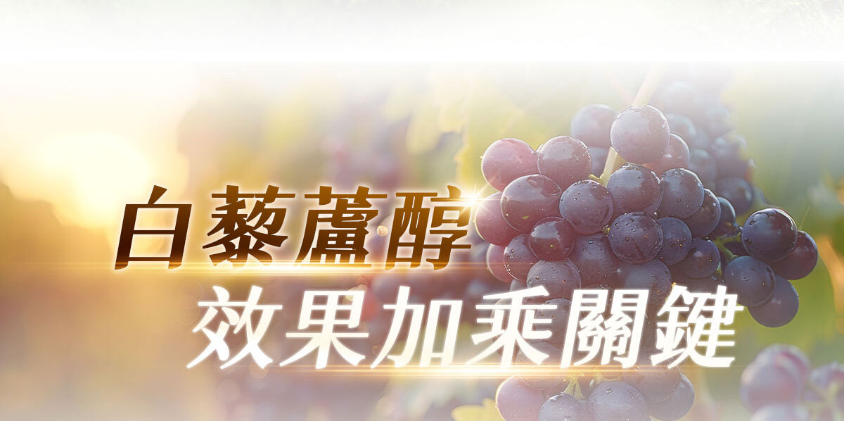NMN-青春膠囊-菸醯胺-嚴萃保健-12
