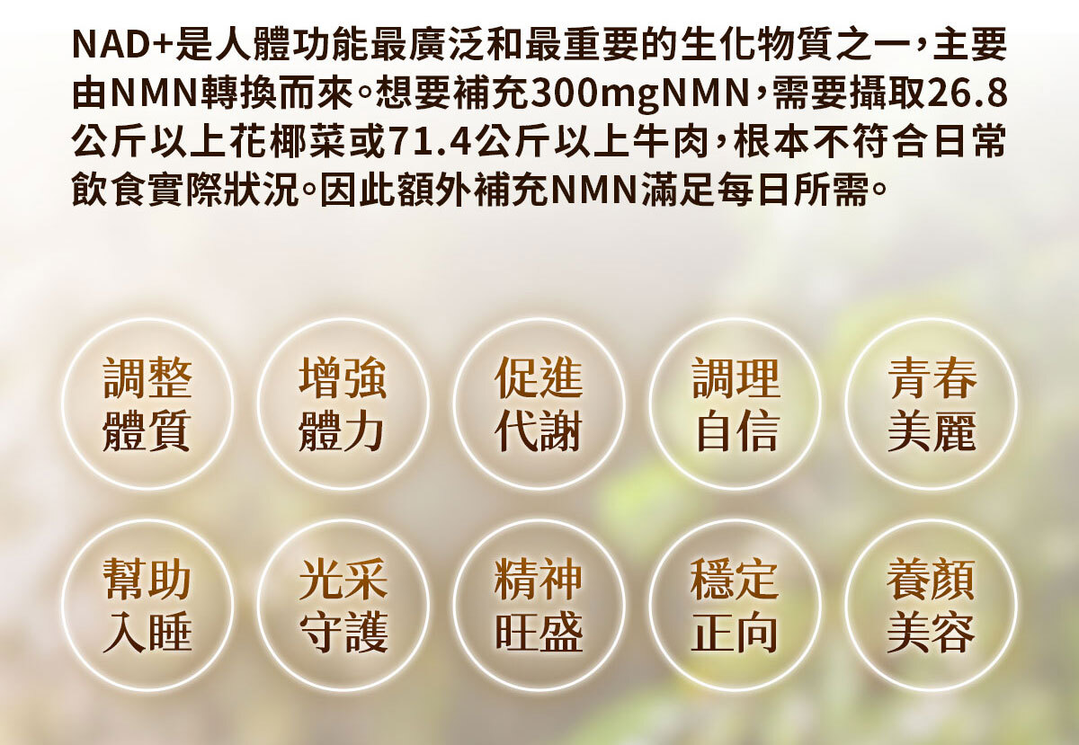 NMN-青春膠囊-菸醯胺-嚴萃保健-27