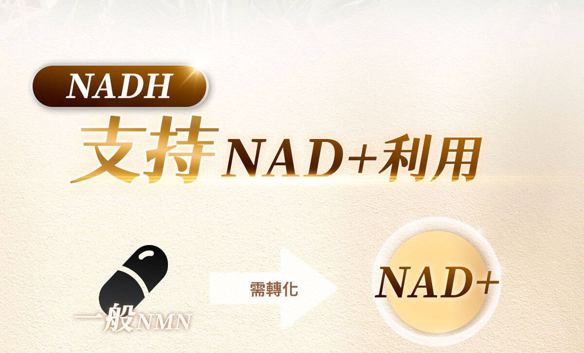 NMN-青春膠囊-菸醯胺-嚴萃保健-35