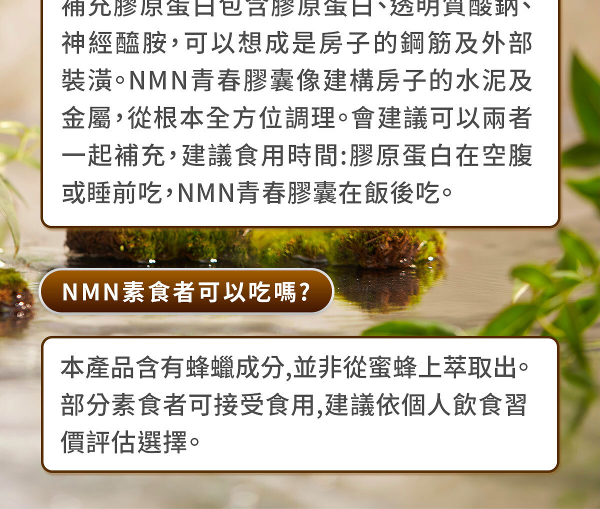 NMN-青春膠囊-菸醯胺-嚴萃保健-44