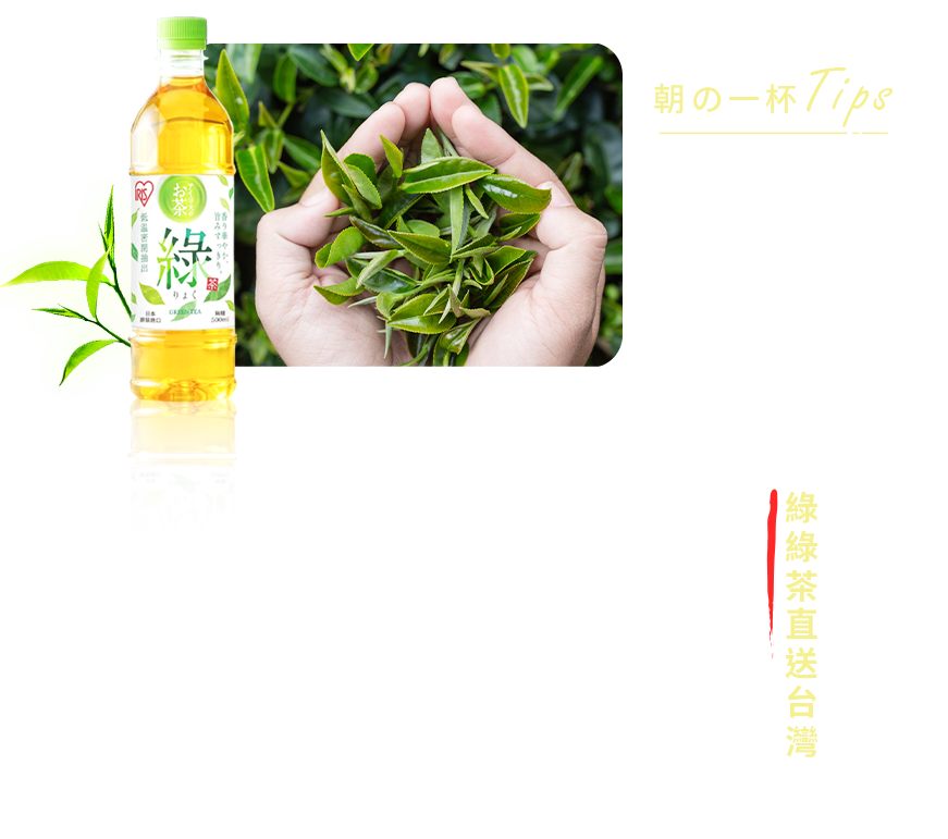 茶葉介紹內文