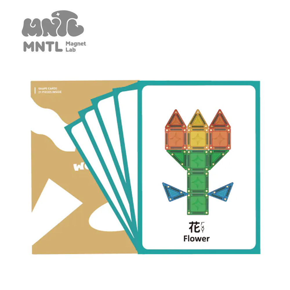 MNTL 創造力學習圖卡 20pcs