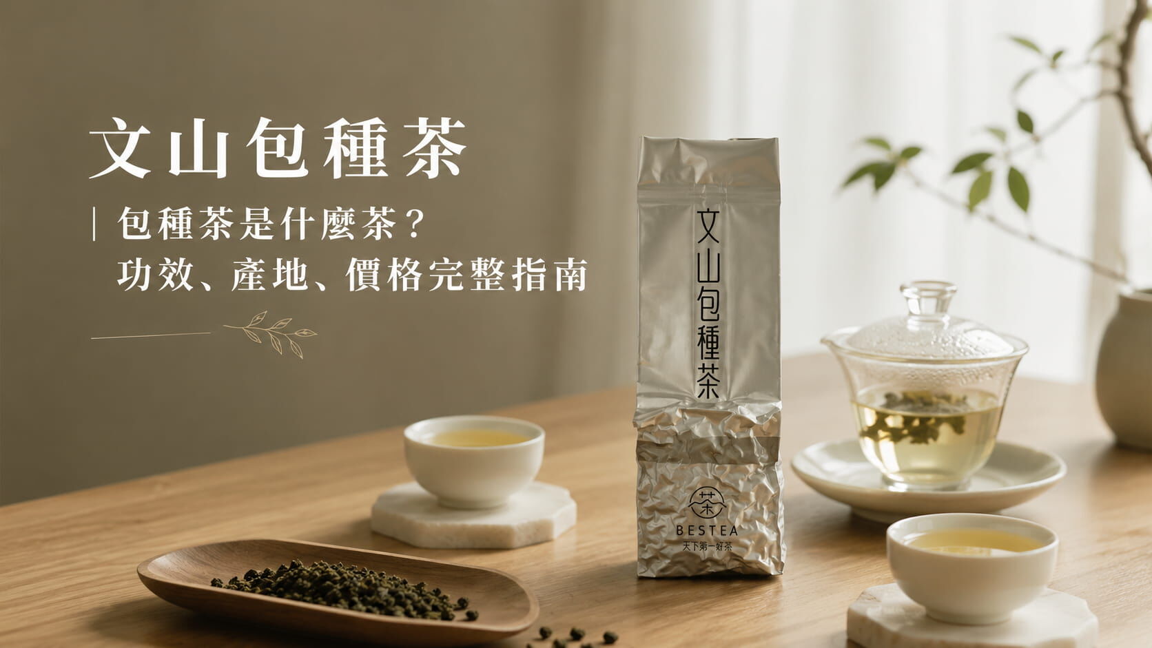 文山包種茶｜包種茶是什麼茶？功效、產地、價格完整指南