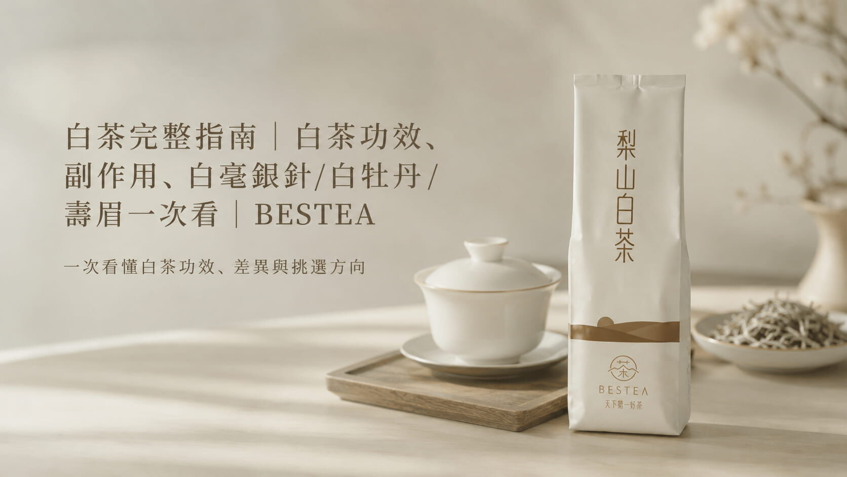 白茶完整指南|白茶功效、副作用、四大品類(白毫銀針/白牡丹/貢眉/壽眉)解析