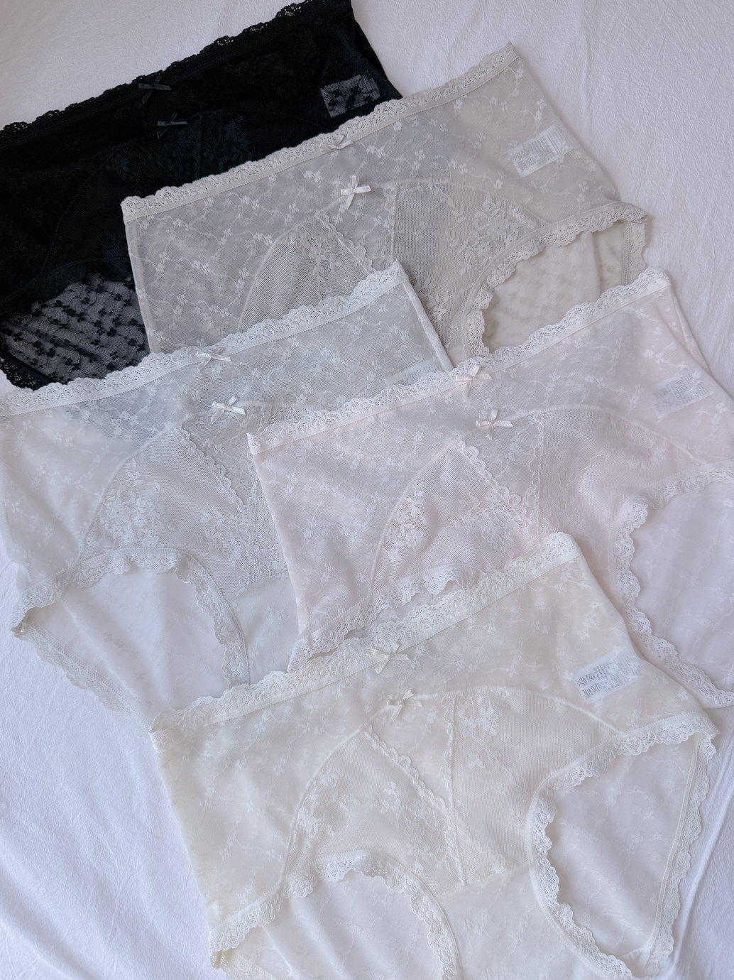 FRENCH LACE EMBROIDERY PANTIES SET (5PCS) 260512