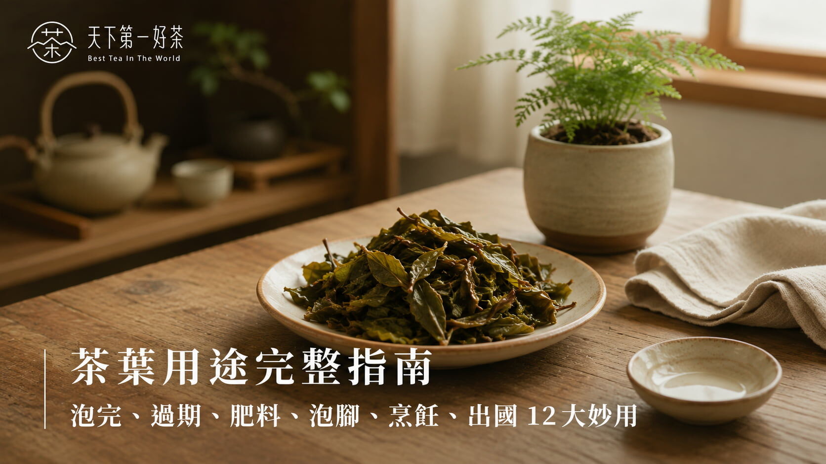 茶葉用途完整指南｜泡完、過期、肥料、泡腳、烹飪、出國 12 大妙用