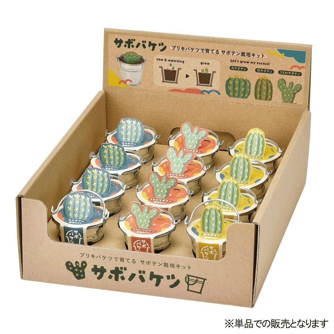 迷你水桶植栽組 [共3款可選擇]