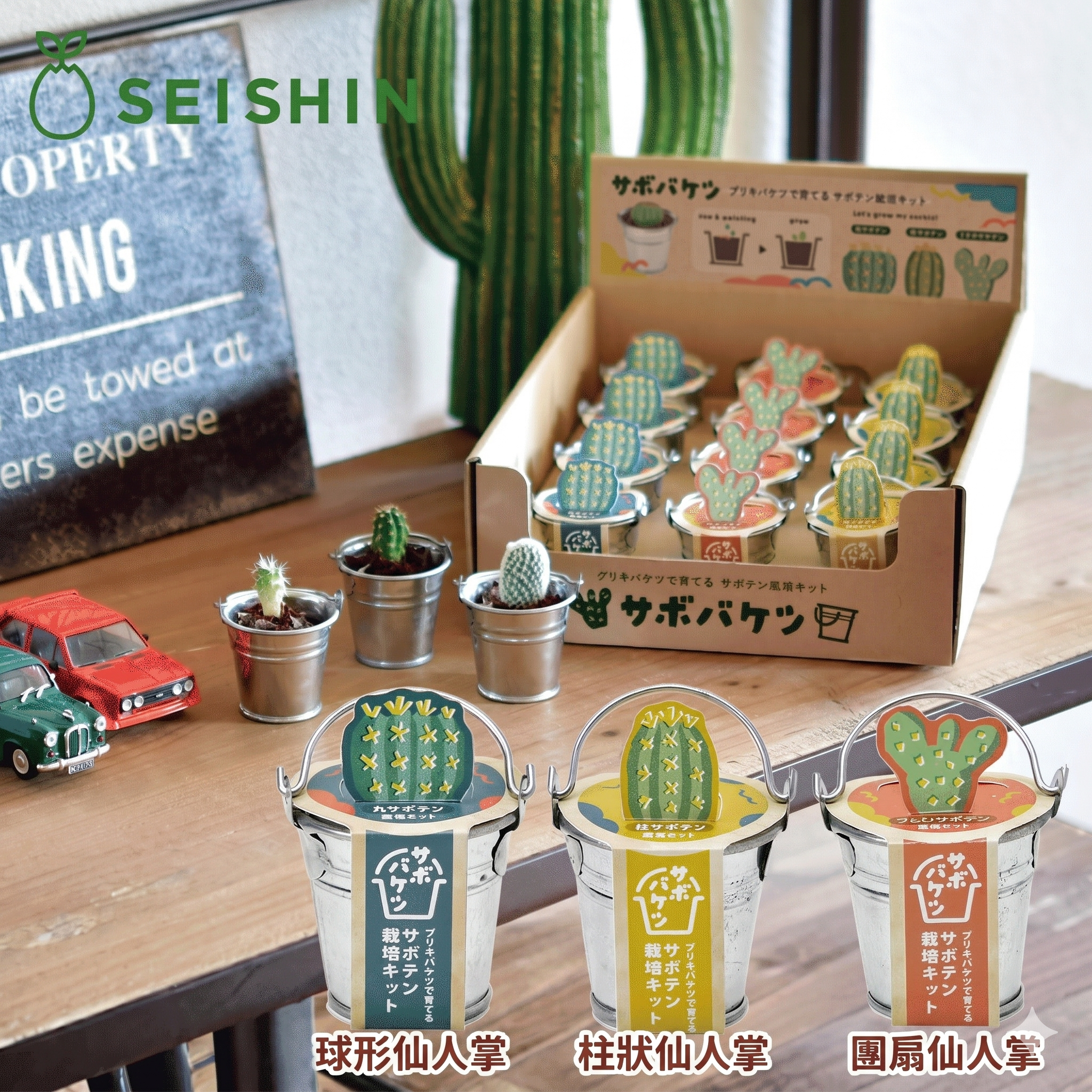 迷你水桶植栽組 [共3款可選擇]