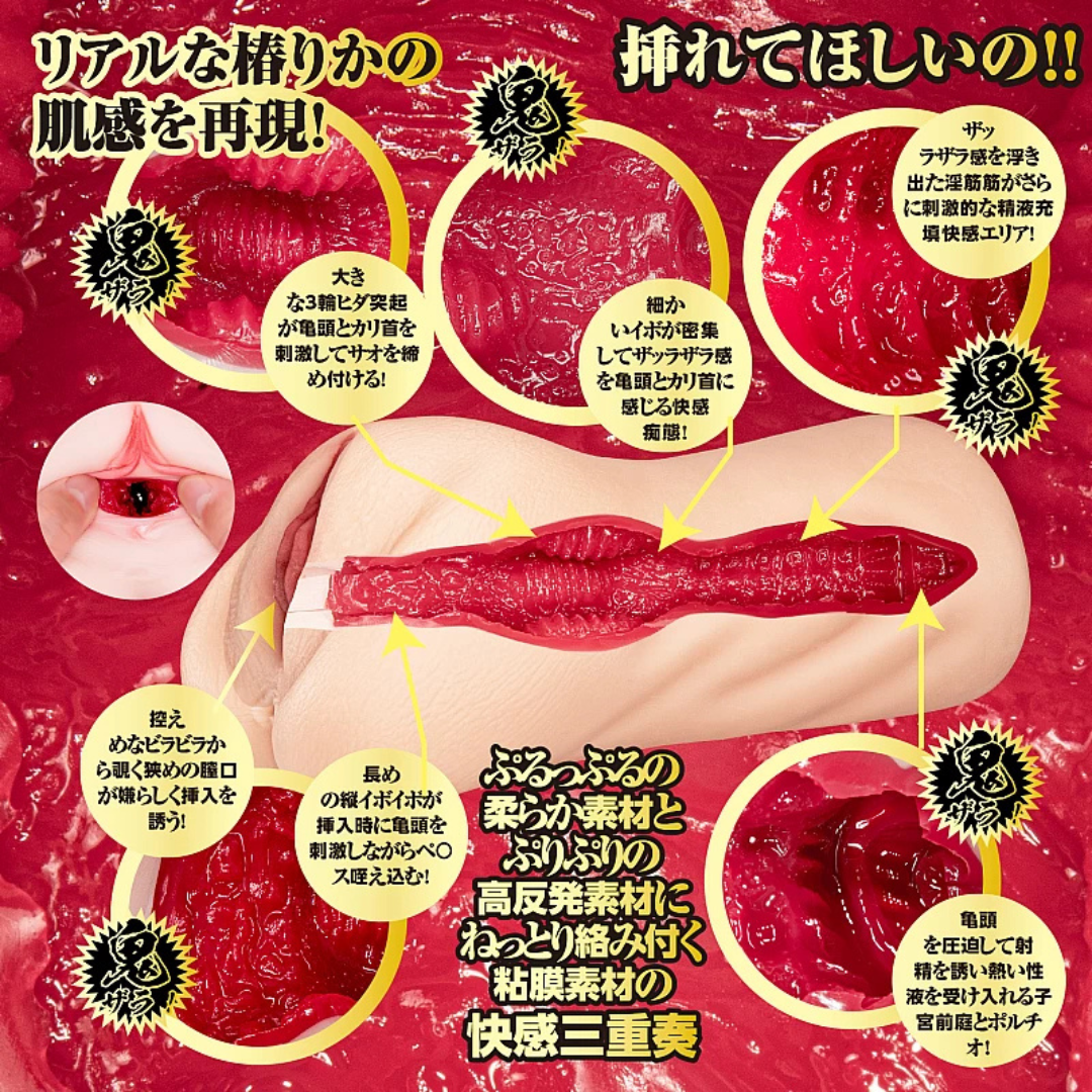 NPG 鬼扎拉快感名器 椿莉香 女優名器 (鬼ザラ快感名器 椿りか)