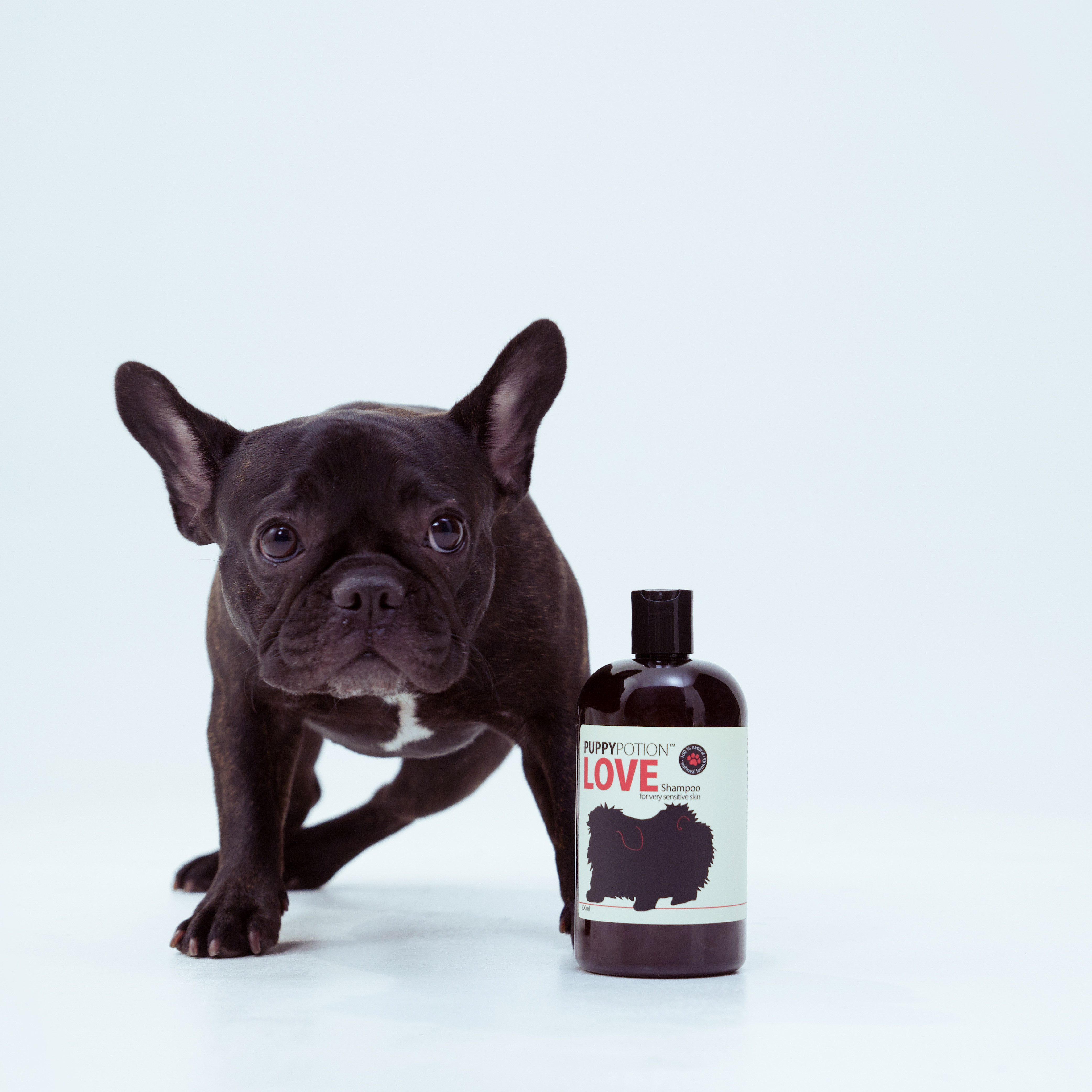 犬用天然膠體燕麥洗毛精｜DOGGYPOTION