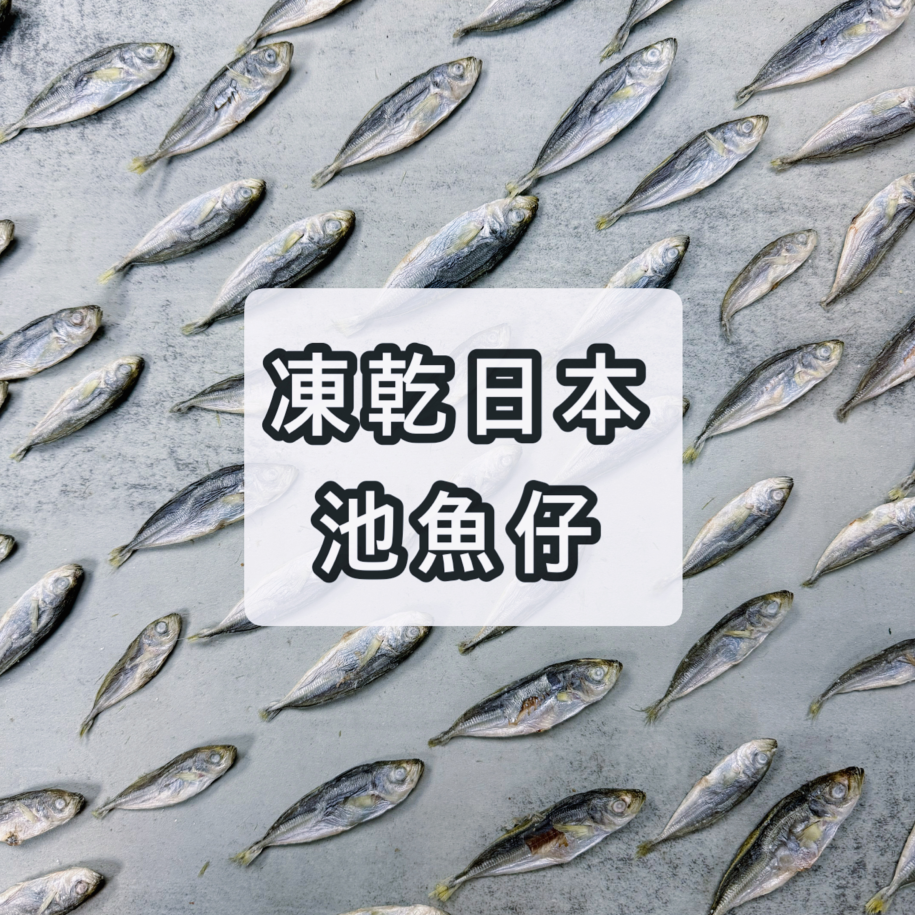 凍乾日本池魚仔｜貓狗適用