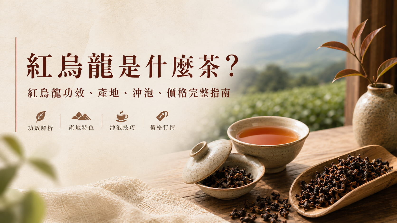 紅烏龍是什麼茶？紅烏龍功效、產地、沖泡、價格完整指南