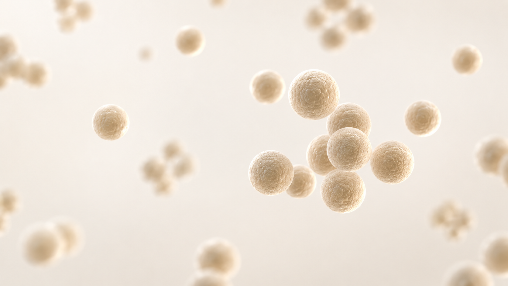 blog-Cocci