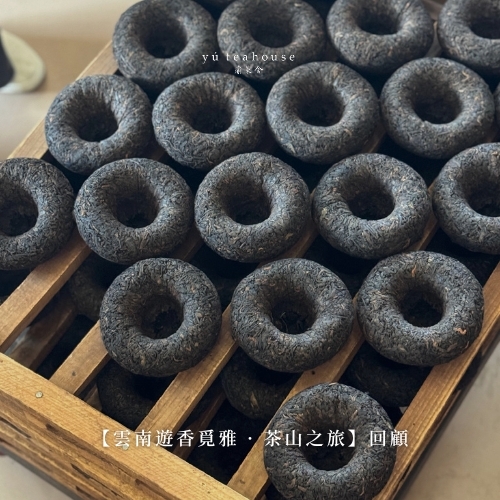 雲南茶山之旅回顧｜走進西雙版納，探索普洱茶與非遺文化的深度體驗｜瑜茶舍