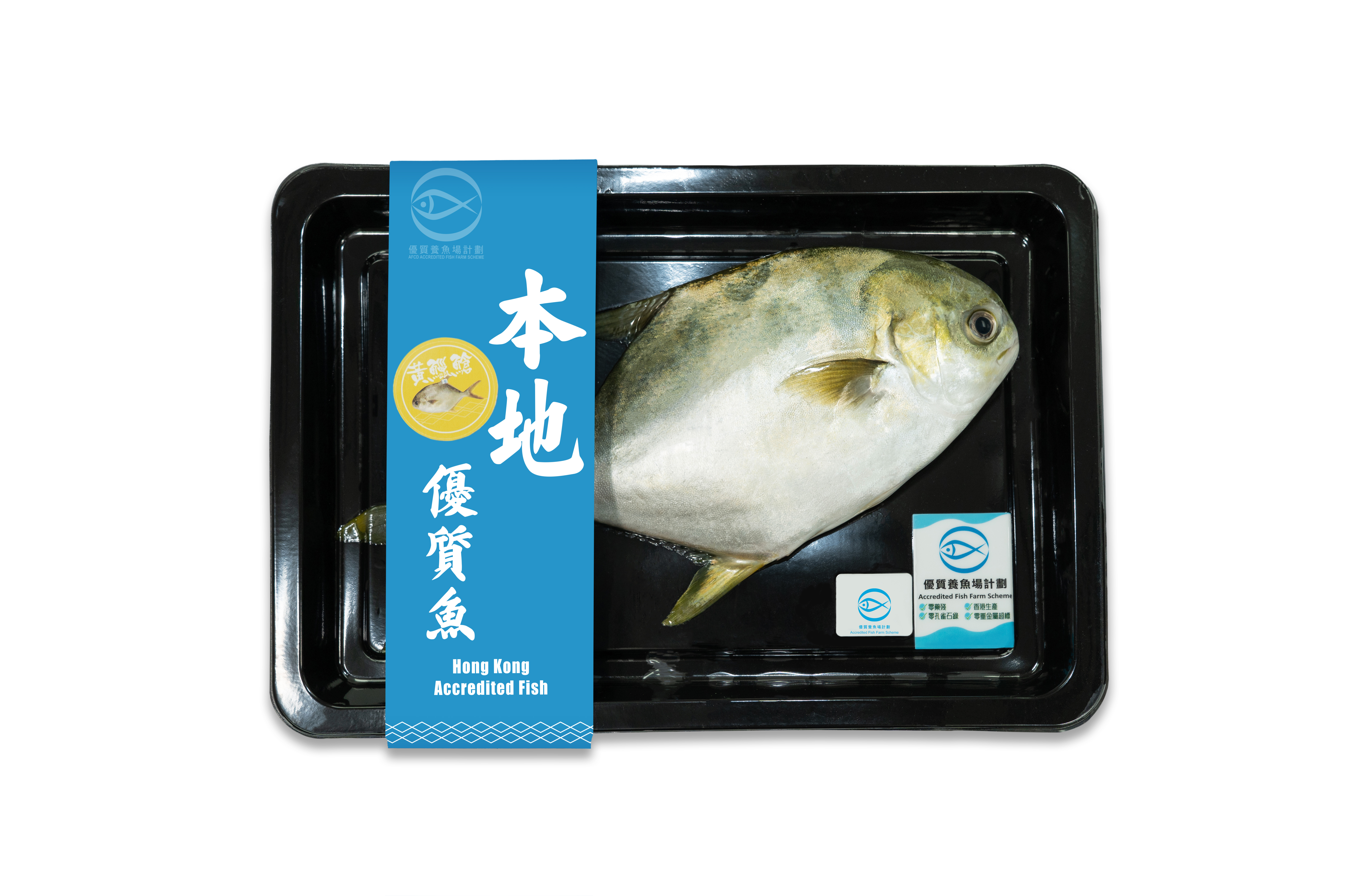 本地優質東龍黃立鯧 1條 400g (包)