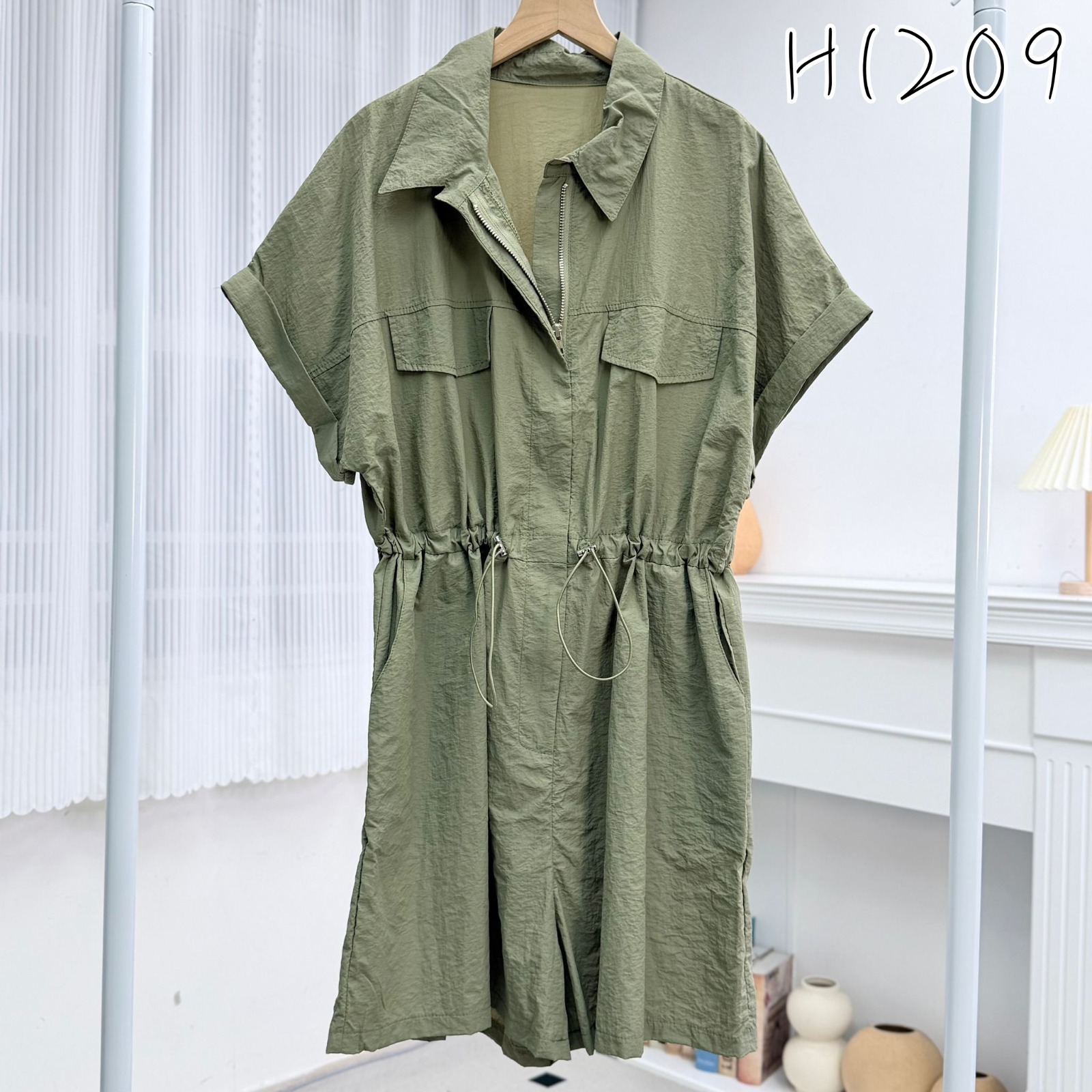 H1209