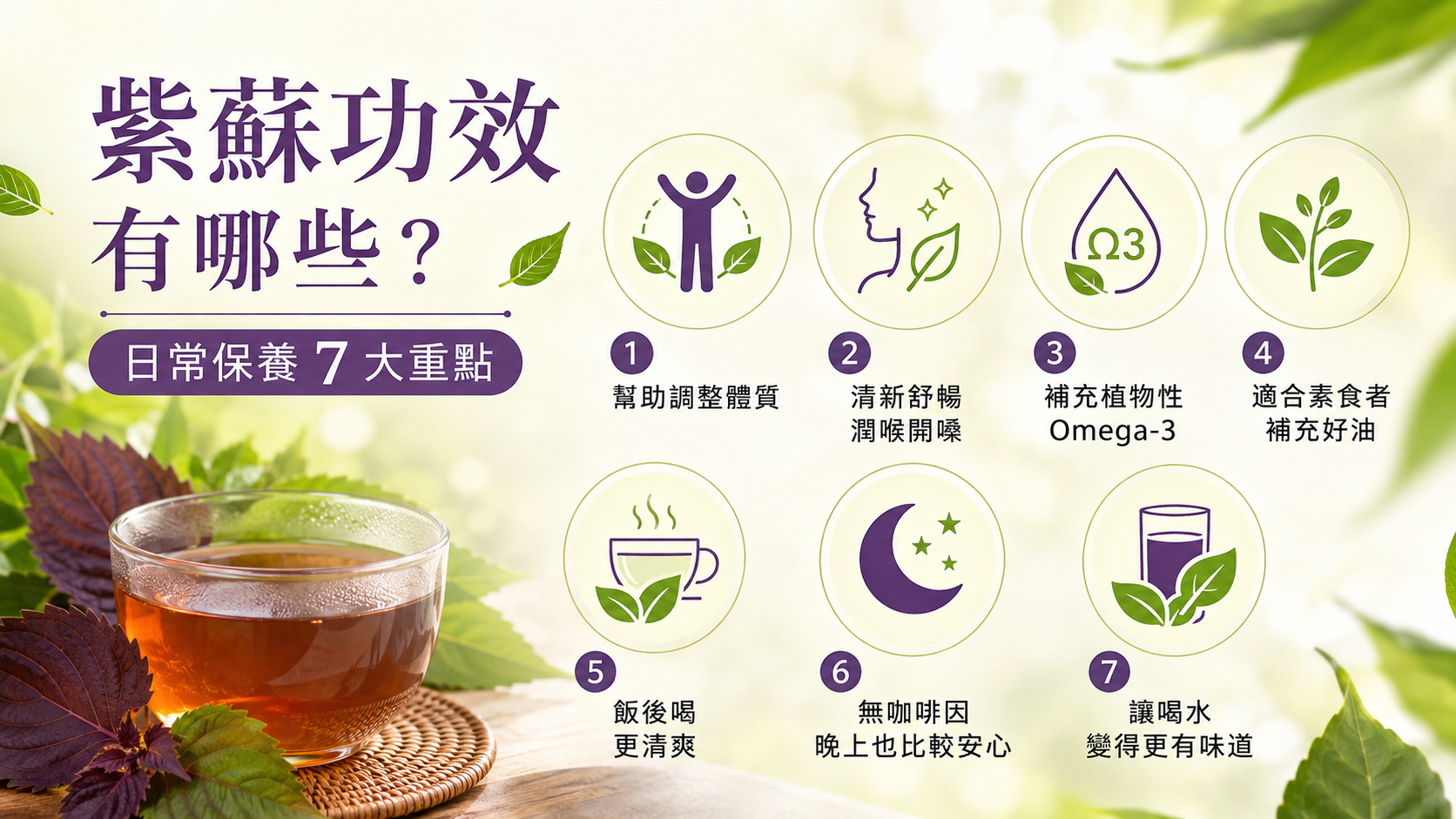 紫蘇功效有哪些?日常保養 7 大重點