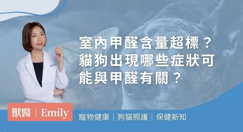 貓狗出現哪些症狀可能與甲醛有關