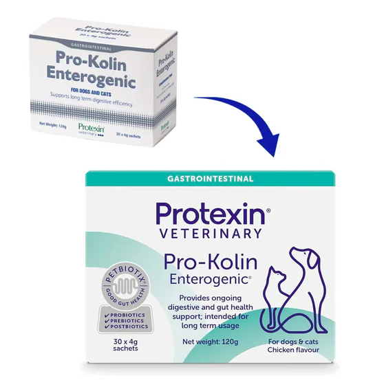 Protexin - 腸道管理補充品 (貓狗用) 4克 X 60粒裝