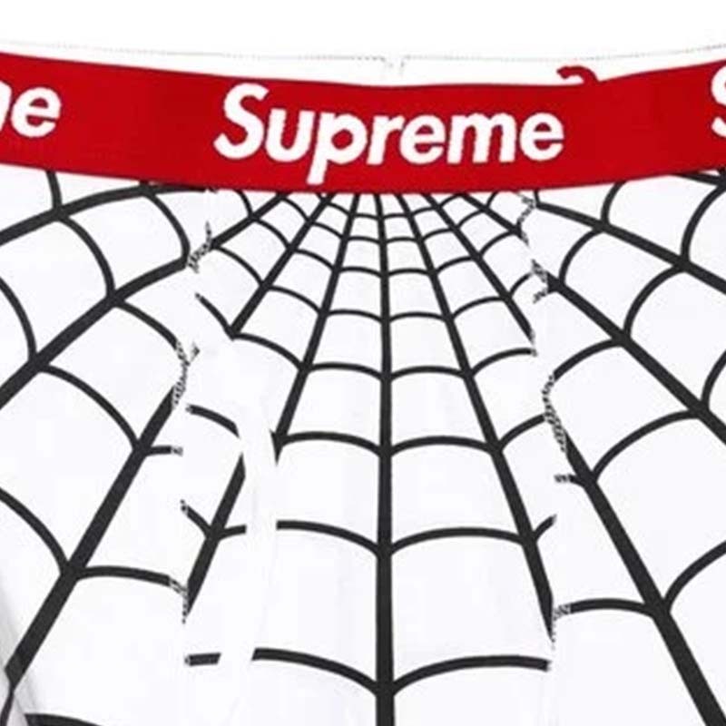 Supreme Hanes Spider-Man Boxer Briefs (2 Pack) 蜘蛛人純棉四角