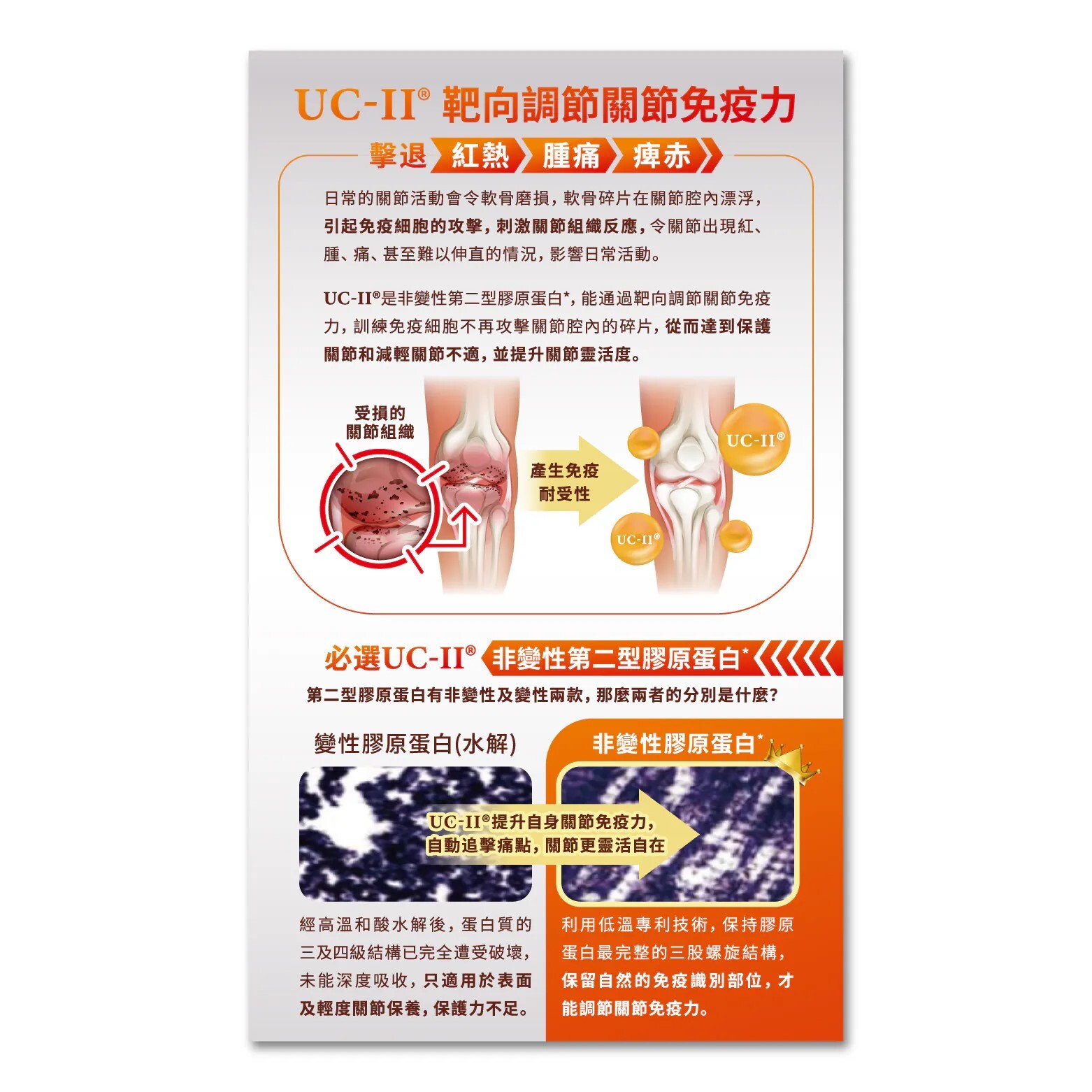 正品藥業 - 關節動 UC-II (30粒) HS004