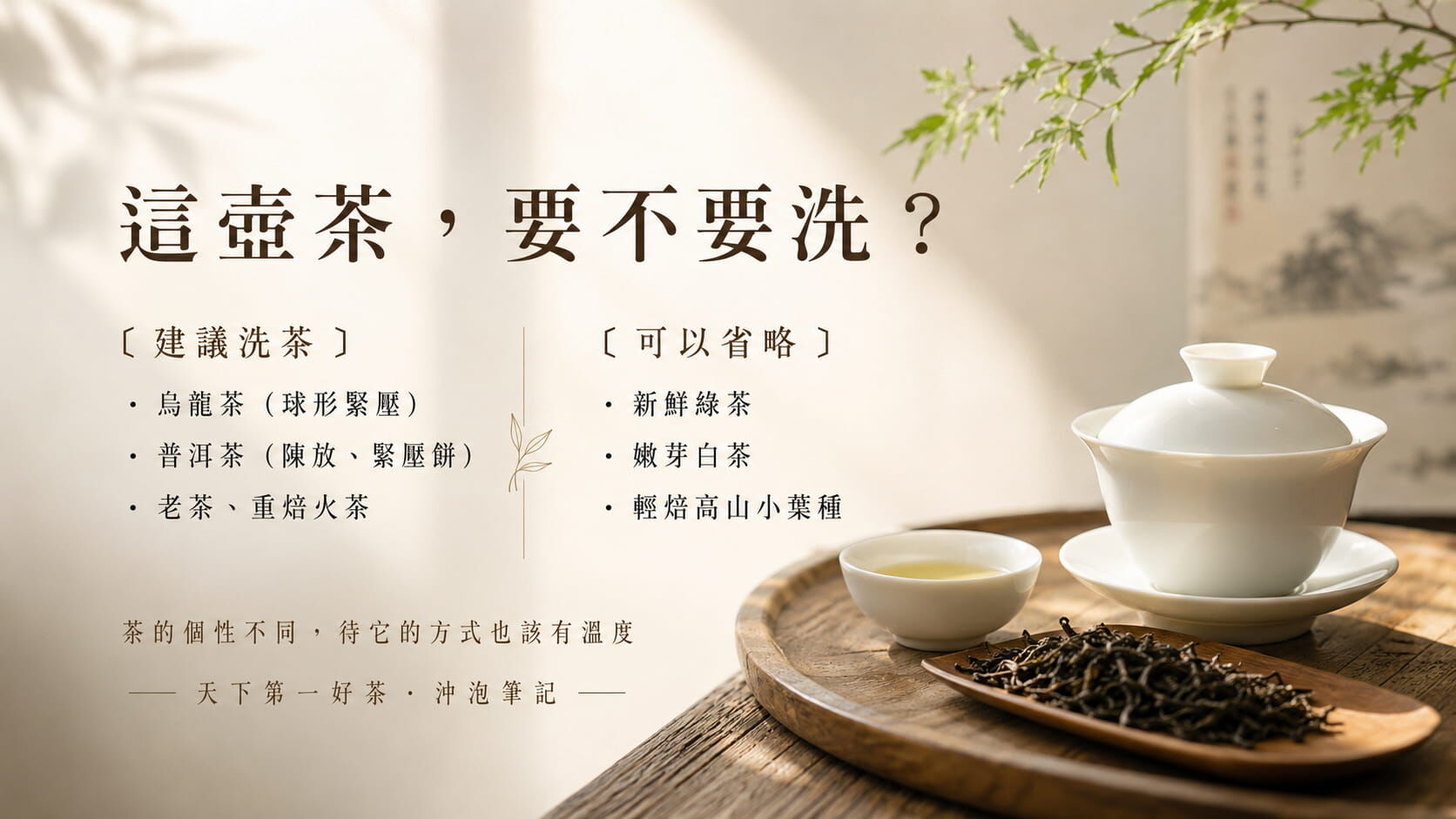 茶葉是否需要洗茶對照圖，烏龍茶普洱茶緊壓茶建議洗茶，綠茶白茶嫩芽茶可省略