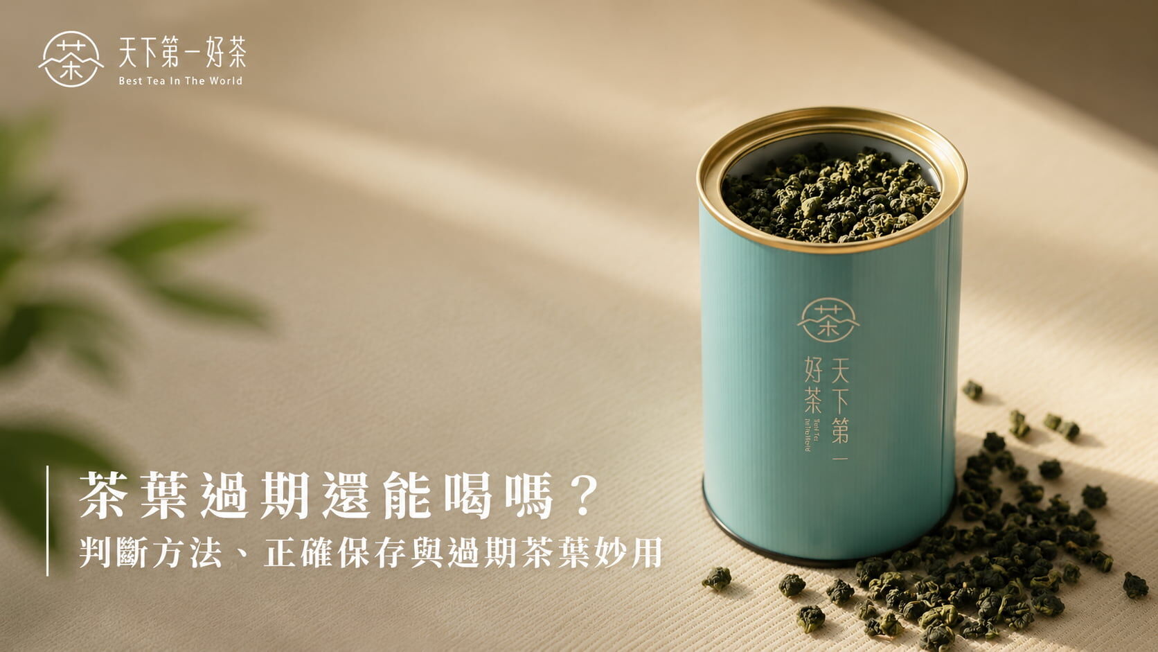 茶葉過期可以喝嗎?保存期限、判斷方法與過期茶葉妙用完整指南