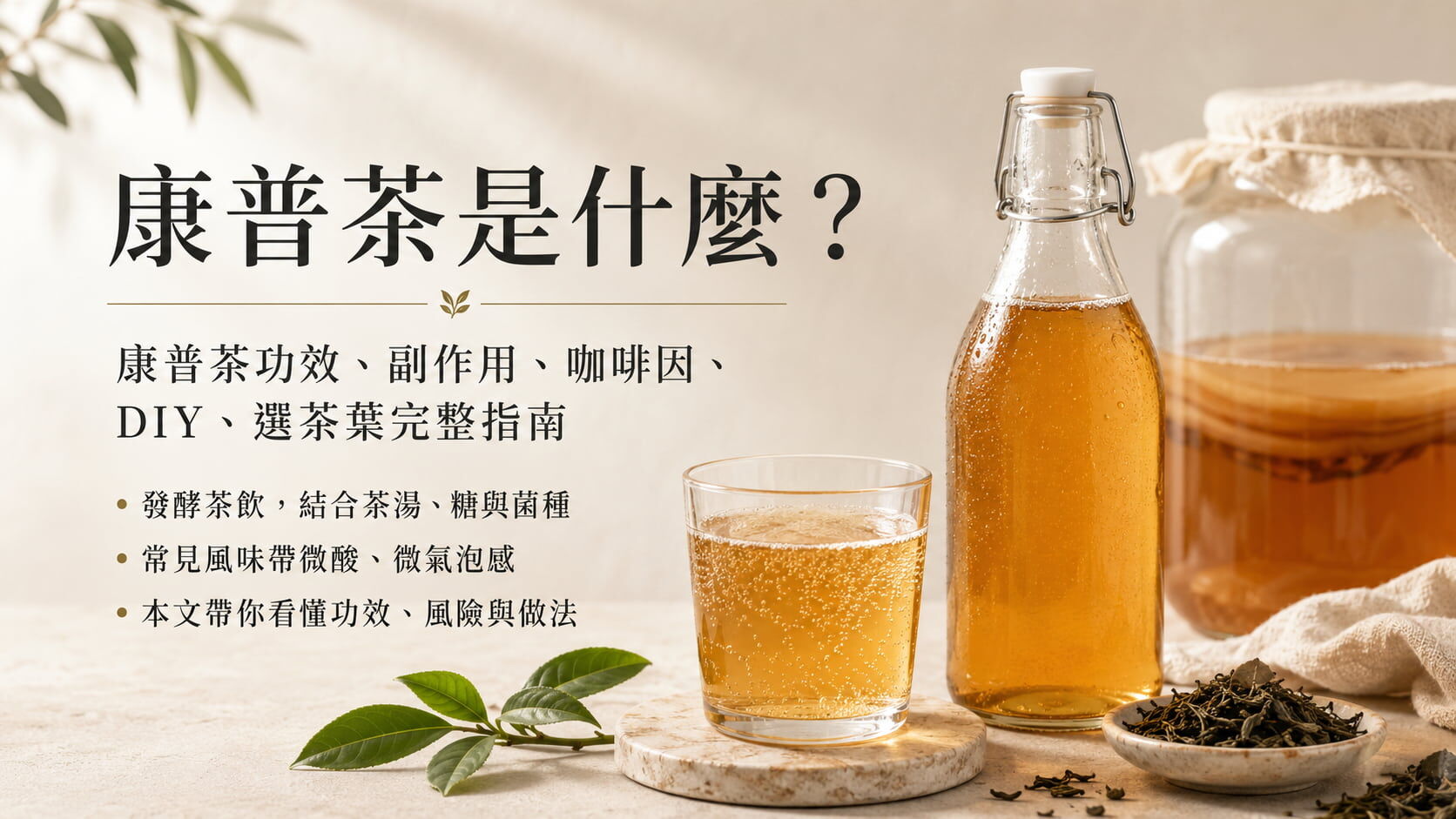 康普茶是什麼？康普茶功效、副作用、咖啡因、DIY、選茶葉完整指南