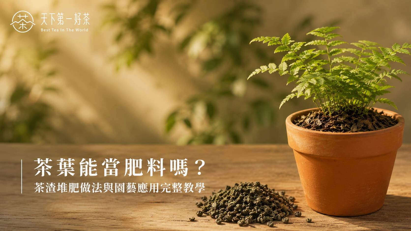 茶葉能當肥料嗎？茶渣堆肥做法與園藝應用完整教學