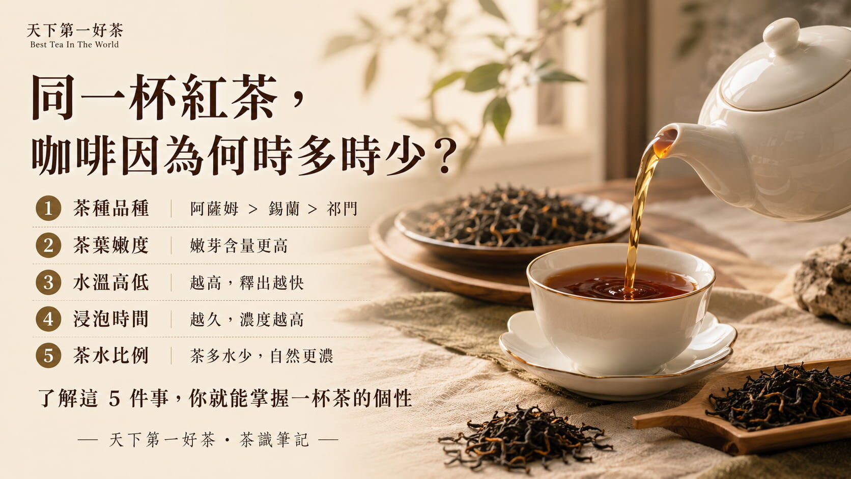影響紅茶咖啡因含量的五大因素整理圖，茶種、嫩度、水溫、浸泡時間、茶水比例的關係說明