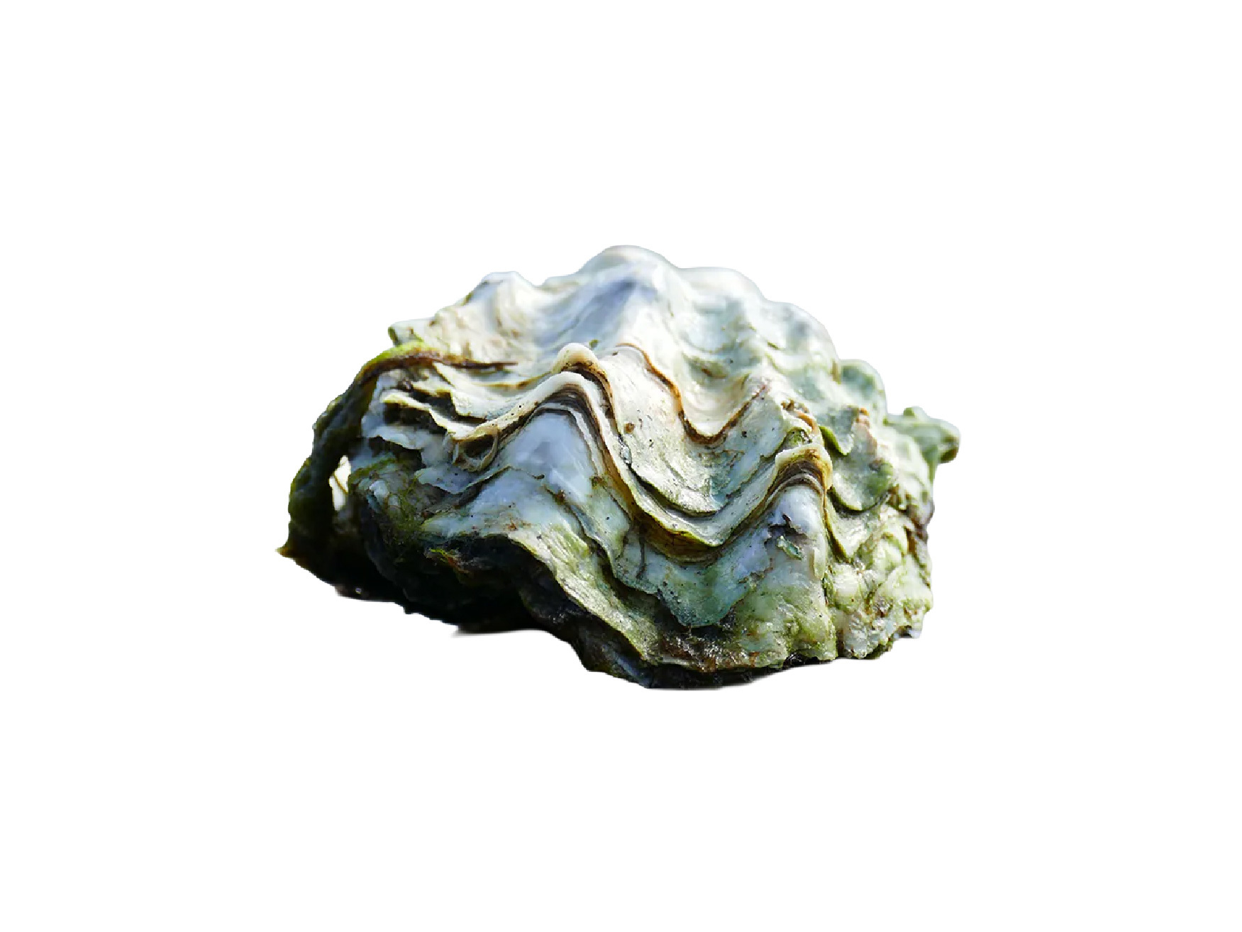 永續成分
