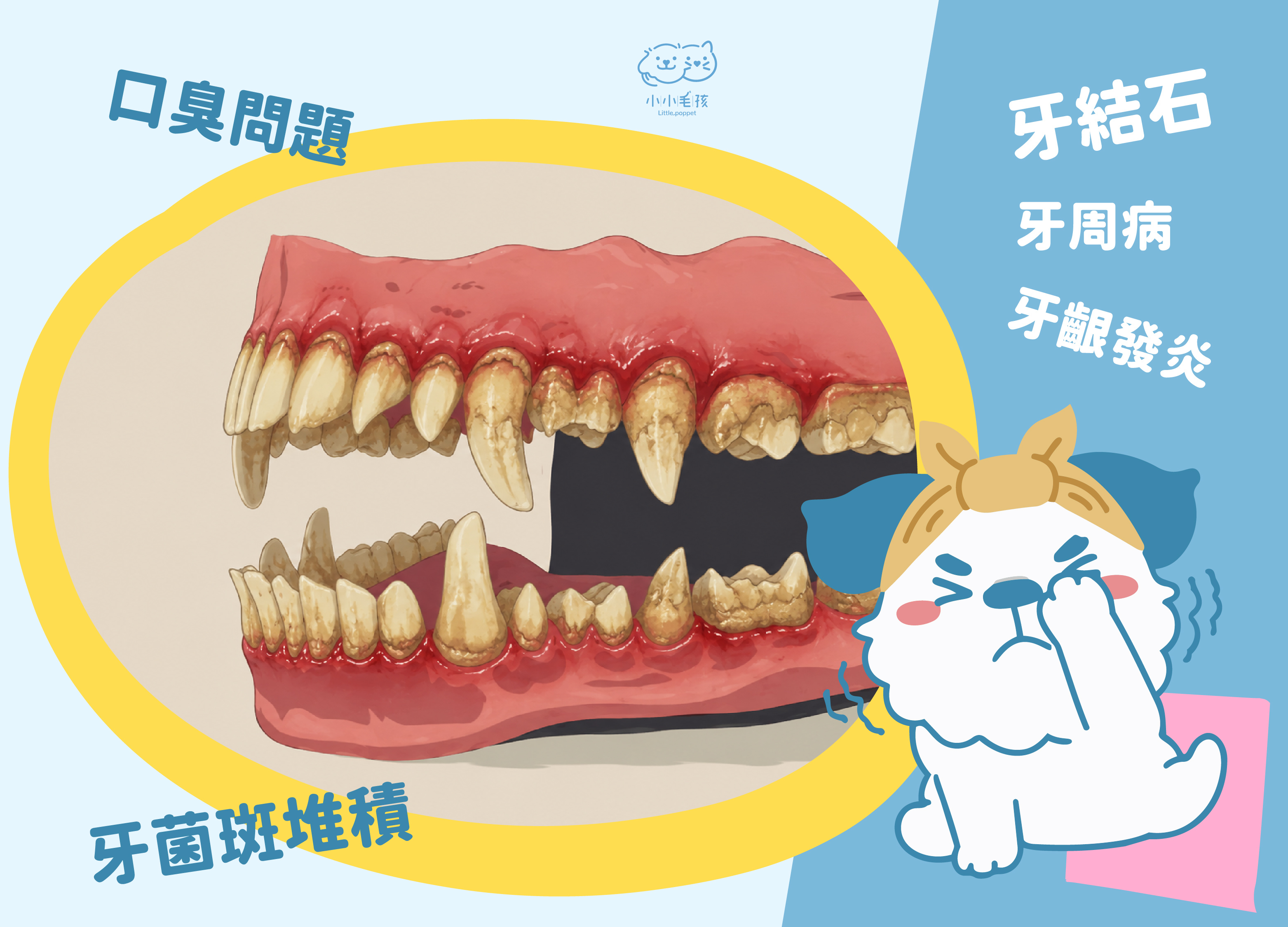 狗牙齒 狗牙結石 狗口腔
