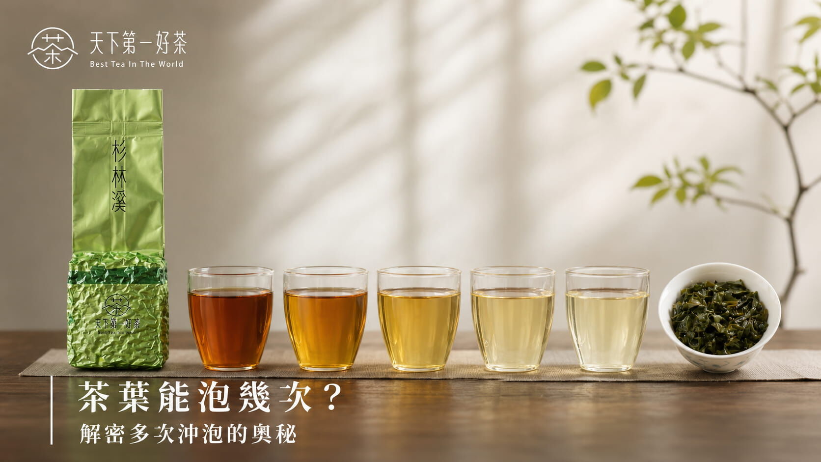 茶葉能泡幾次？各茶種沖泡次數與延長技巧